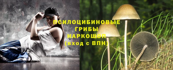 индика Костерёво