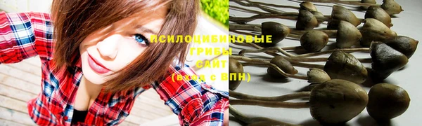 круглые Ессентукская