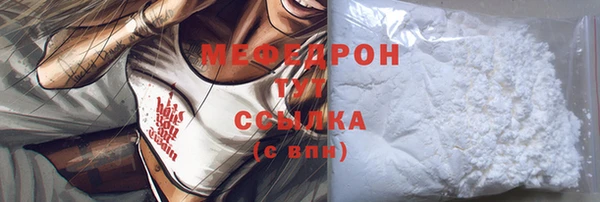 индика Костерёво