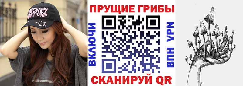 Купить  Приморск  Псилоцибиновые грибы Cubensis 